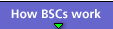 How BSCs Work